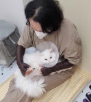 심쿵하냥 고양이미용&호텔