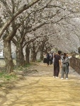 숲머리민박