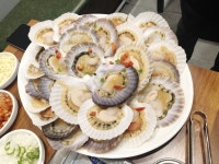 바다품은달