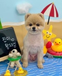 라이크잇