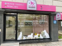펫러버 그루밍
