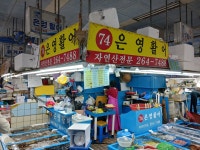 은영활어