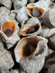 포항집