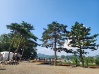 난지섬쭈꾸미캠핑장
