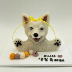 멍까루 강아지케이크 수제간식