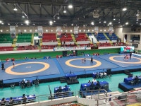 필승 로드FC 킥복싱 MMA 주짓수