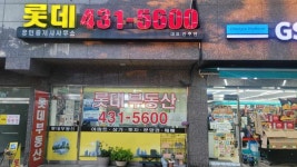 롯데부동산공인중개사사무소