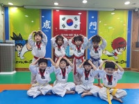 성문태권도