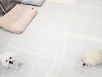 모이따
