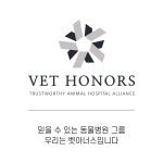 솔동물의료센터