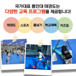 용인대국가대표태권도스쿨