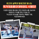 용인대국가대표태권도스쿨
