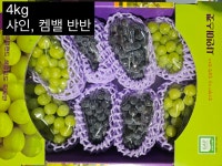 남사샤인팜 | 더샤인팜
