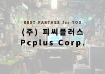 피씨플러스