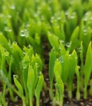 신의팜농업회사법인