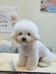 몽시오