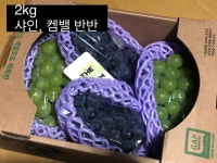남사샤인팜 | 더샤인팜