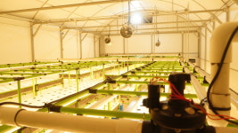 농업회사법인 병풀농원