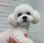 우리몽
