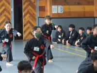 세종특공무술