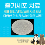 온누리동물의료센터