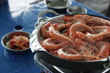 강화돼지수산