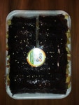 또또꼬마김밥 익산모현점