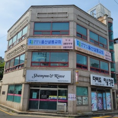울산샬롬교회