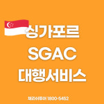 체리쉬투어 대구지점