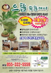 으뜸 마사지&뜸