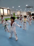 경희대최강태권도