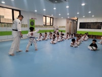 경희대최강태권도