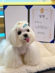 옐레드 부천신중동점