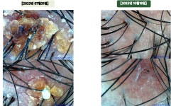 닥터모락 광주상무점