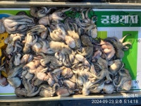궁항레저선외기