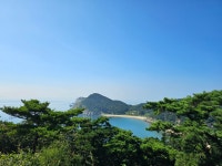 드림펜션