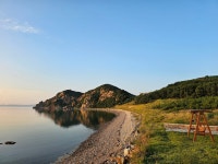 드림펜션