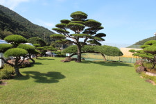 소나무풍경펜션