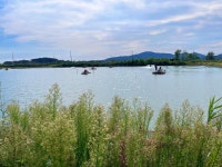 강화돼지수산