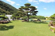 소나무풍경펜션