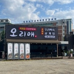 오리애