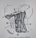 심우영이비인후과의원