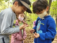아이다움킨더카르텐숲어린이집