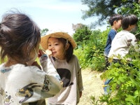 아이다움킨더카르텐숲어린이집