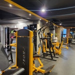 스파르타짐 신관점
