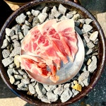 마을회관연탄구이 서구청점