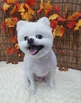 웃개
