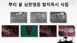 화이트치과의원