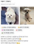 강아지놀이터