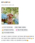 강아지놀이터
